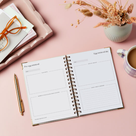 martha brook personalised ivf journal on a pink background